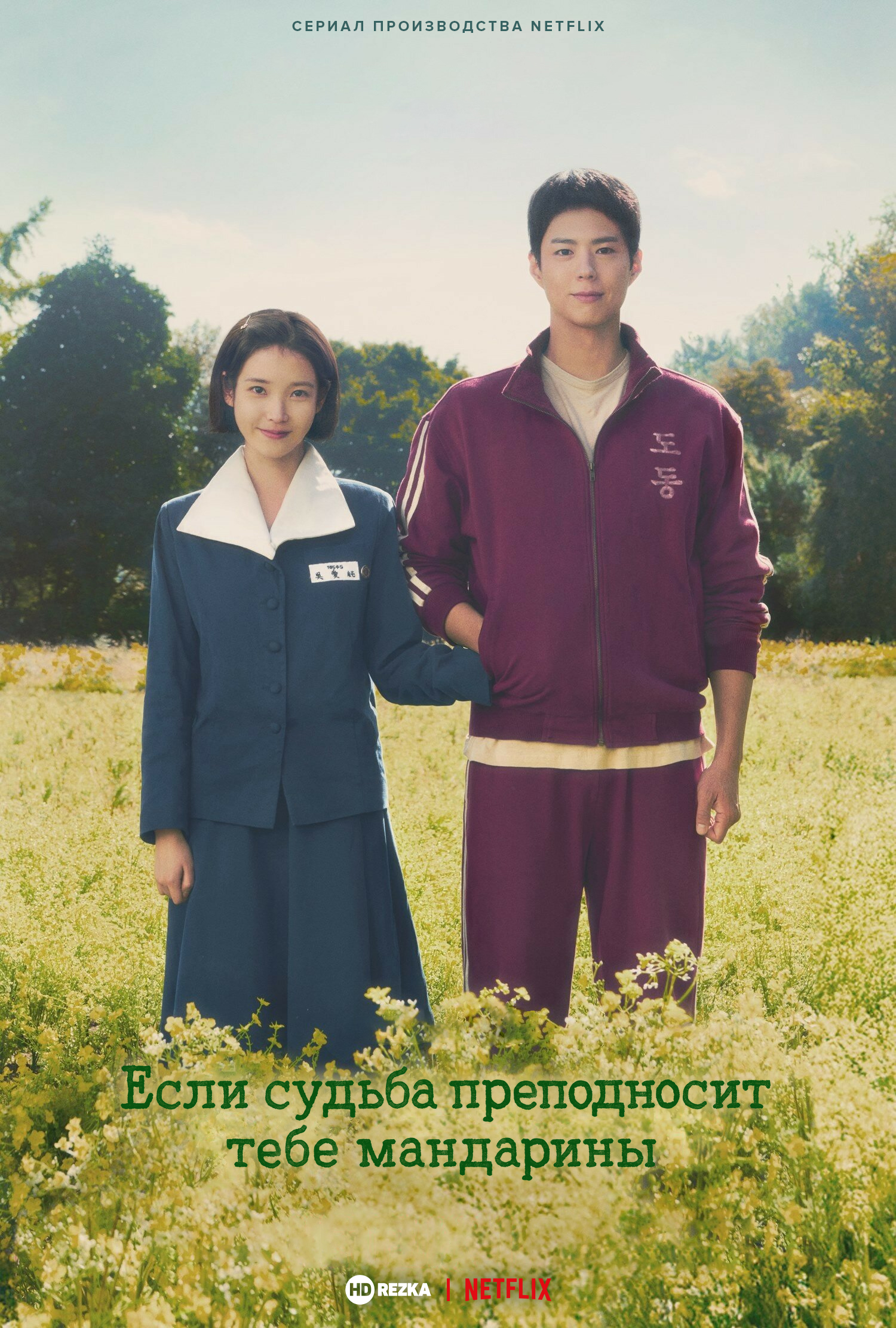 Когда жизнь даёт тебе мандарины