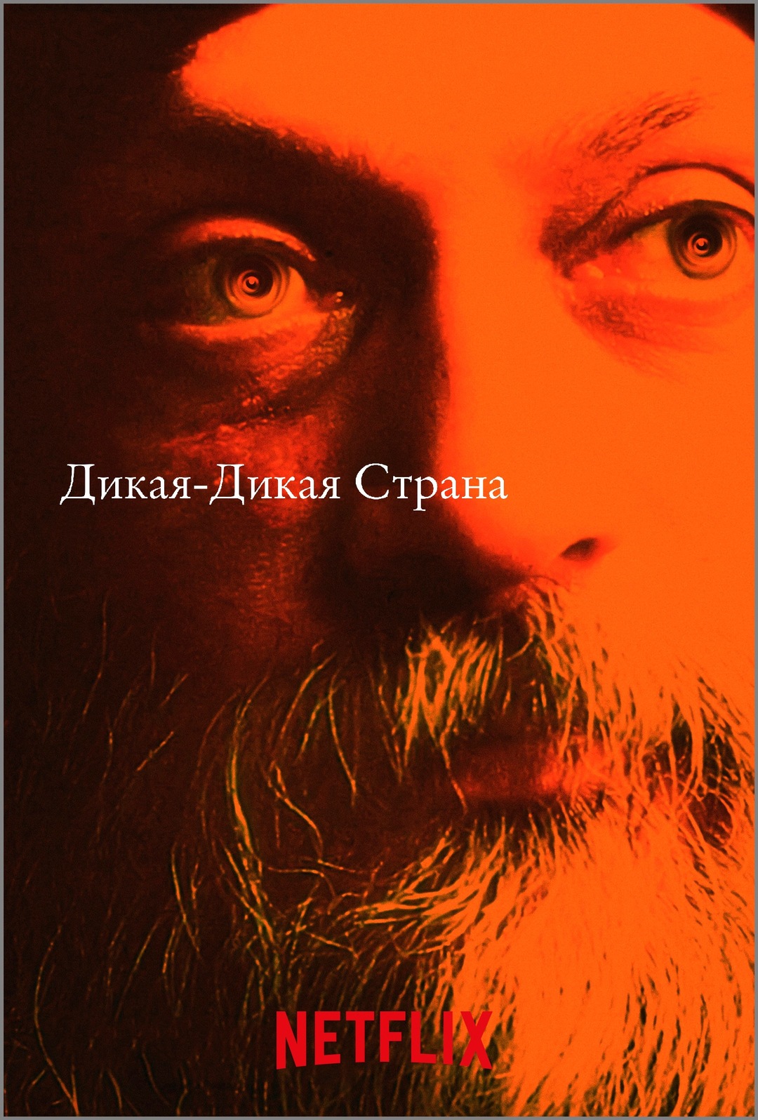 Дикая-дикая страна